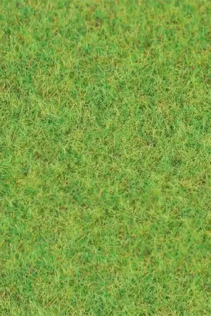Acheter Direct Fibres à saupoudrer, vert gazon, 4mm, 80g - FALLER 170212