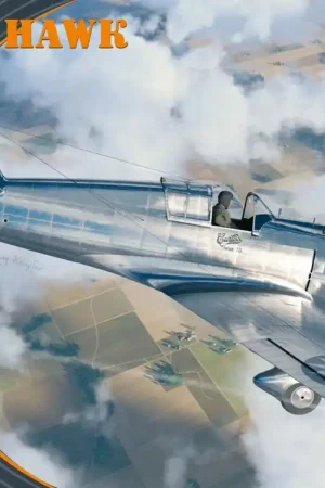 Promotion Saisonnière Clear Prop Models 4806 H-75M Hawk