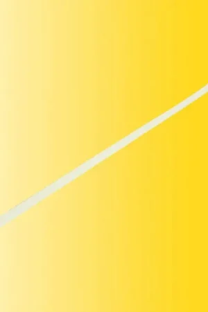 100 attaches de câbles 2.5mm x 100mm-Toutes échelles-VIESSMANN 6845 Prix Bas