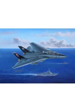 Maquette d‘avion en plastique F-14B TOMCAT 1/48 Offre Limitée